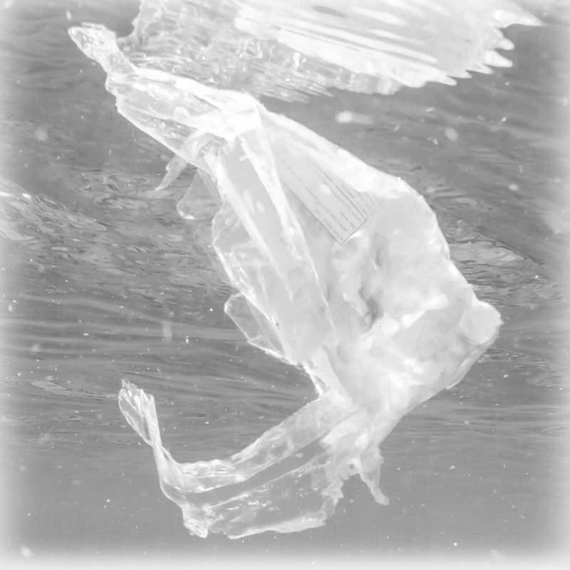 picture of a carrier bag in the sea